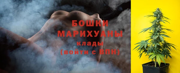 тгк Сатка
