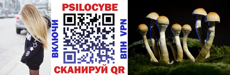 купить наркотики сайты  Лихославль  Псилоцибиновые грибы Cubensis 